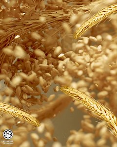 30K views · 328 reactions | Nikmati kebaikan MILO® yang diperkaya dengan khasiat untuk kekal aktif dan fokus! | MILO Malaysia | Facebook