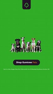 Adopting a rehomed pet is a heartwarming choice with countless benefits! 🐾 Make a difference today by choosing to adopt and watch as your new furry friend fills your life with love! ❤️🐶🐱 #AdoptDontShop #RescuePets #GiveLoveASecondChance | Gumtree Australia