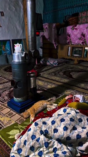 Cold Night in a Rural Cabin 🔥 Girl and Cat Sleeping by the Wood Stove