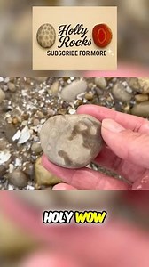 ⚡️INCREDIBLE FOSSIL FIND! 🪨