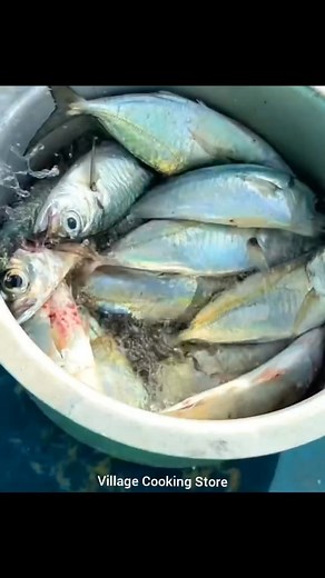 Gulf Coast Catch & Cook: From Ocean to Fire in One Epic Day! 🐟🔥🌊 #GulfFishingAdventure #CatchAndCook #LuxurySeaLife #OceanToPlate #FishingVibes #GulfLifestyle #FreshCatchExperience #SeafoodLovers #AdventureInStyle #FishingPassion | Village Cooking Store