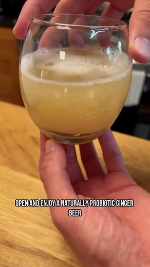 199K views · 578 reactions | From the archive: how to make ginger beer from a ginger bug! A naturally carbonated and probiotic ginger drink For every 1 litre of water: 100g ginger 100g sugar Ginger bug liquid ❗️You should also be sure to burp your bottles every day to prevent explosive bottles ❗️ #gingerbeer #ginger #fermentation #foodreels #fermented #probiotic #food #recipe #johnnykyunghwo | Johnny KyungHwo | Facebook