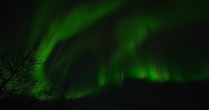 While many photographers seek to capture the aurora borealis on their cameras, it's important to be prepared with the proper techniques to ensure your pictures are as inspiring as the northern lights. Watch this video for expert guidance from Expedition Leader Court Whelan, Ph.D., who has been refining his astrophotography skills with the brilliant spectacle of the aurora in Churchill, Manitoba, for the past decade. Learn more: nathab.com/aurora | Natural Habitat Adventures