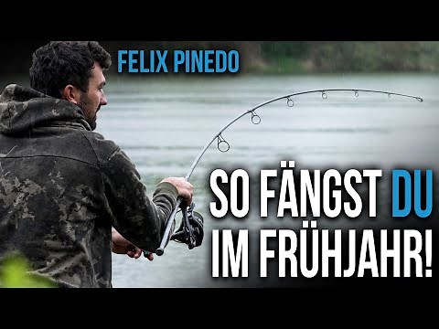 Karpfenangeln im Frühjahr - Felix Pinedo macht's vor!
