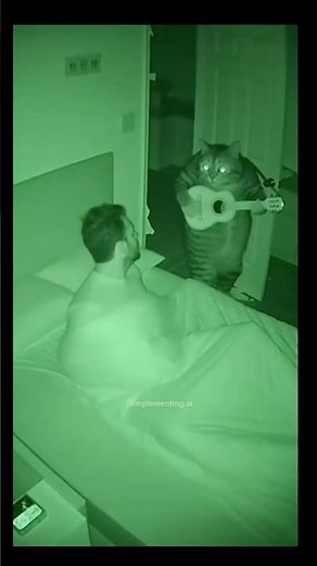 🐱 Cat Plays Guitar While Human Sleeps 😹🎸 | Funniest Cat Ever! #Shorts