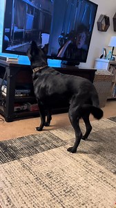 5.9M views · 183K reactions | Reliving the scariest scene from my childhood!  | Good Night | Facebook