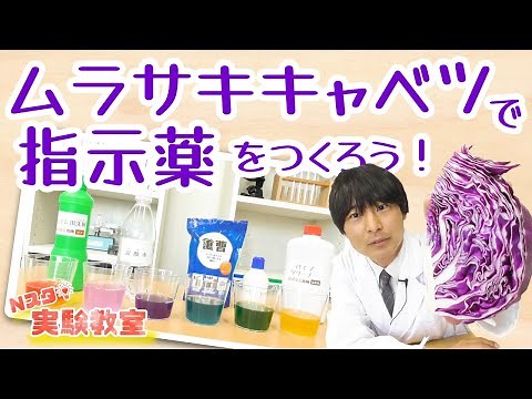 [N-Sta Experiment Class] Let's make an indicator using purple cabbage!