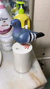 359K views · 168 reactions | LINK IN BIO This hilarious pigeon-shaped...