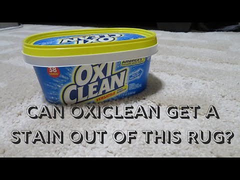 OxiClean Stain Removal | Can OxiClean get a stain out of my rug?