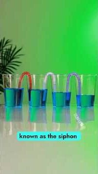 Science Tricks That Feel Like Magic#experiment#physicsexperiments #reallifehack#physicsprojects#diy