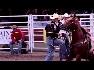 What is tie-down roping?