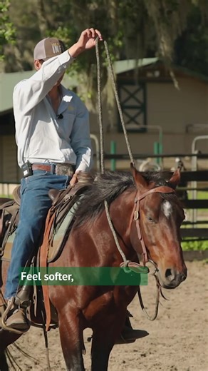 It’s not about decoration. It’s about feel. 🐴💫