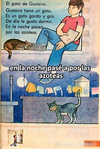 10K views · 714 reactions | EL gato de Gustavo 1988 | Español Lecturas 2 | Facebook