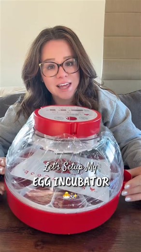 Setting up my incubator for hatching chicken eggs! 🐣✨ #chicks #hatchingeggs #incubator #incubation #chickensoftiktok | simply chickens official
