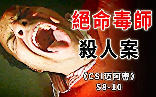 化学学霸化身绝命毒师，钱没赚到，反被坑成杀人犯《CSI迈阿密》S8-10