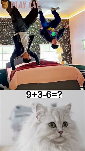 Epic Ceiling Walk Fails! Gravity Challenge! #CeilingWalk #Funny #Viral | 9+3-6=?