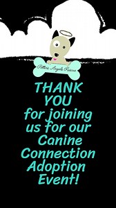 45 reactions | The Canine Connection Adoption Event yesterday was a...
