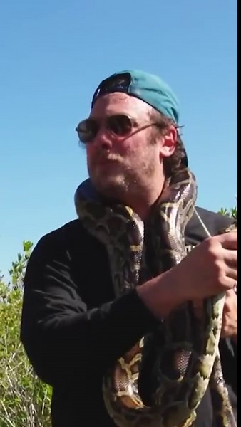 How to catch invasive python and cook it safely