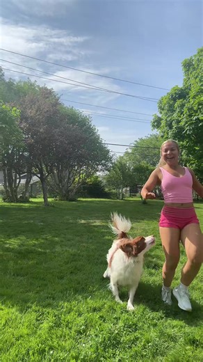 4”11 legs vs a English setter #coppursuit