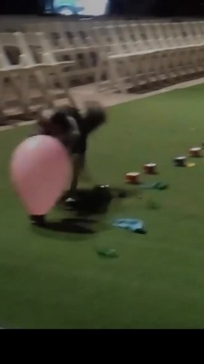 12K views · 4.1K reactions | Jumpy the world fastest balloon popper | Omar and Monkey | Facebook