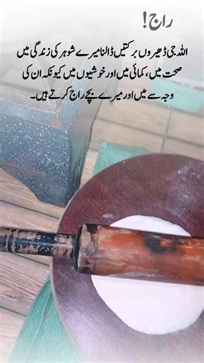 Ameen: TikTok Creator Insights for Account Growth