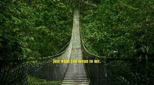 3.8K views · 69 reactions | Colour My World Song by Chicago / Lyrics | Kead Chaiwat | Facebook