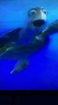 Finding Nemo - Turtle Scene