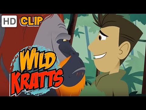 Wild Kratts - Orangutan Approved