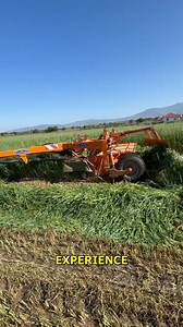 391K views · 1K reactions | Efficient Harvesting Techniques in Action. #Farming #Agriculture #Harvesting #FarmEquipment #ModernFarming | Doraya Jennings | Facebook