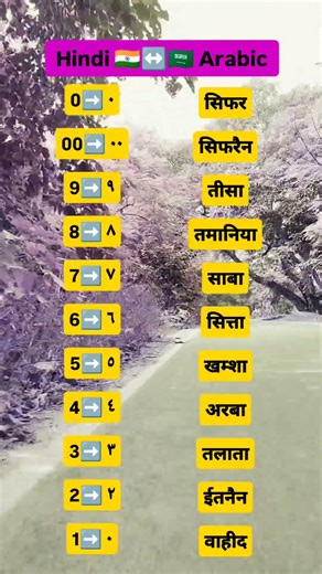 Arabic numerals Hindi