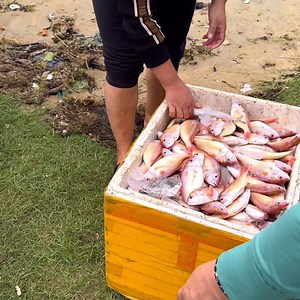 Cửa Tùng Cửa Biển Cạn Và Nguy Hiểm Nhất Quảng Trị | Minh 86 Vlogs