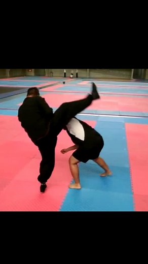 El. Kung fu y las artes marciales tradicionales son aplicables. Clases información al: 3002880070 #kungfu #martialarts #wushu #wingchun #mma #fitness #shaolin #kickboxing #boxing #brucelee #taichi #selfdefense #ipman #training #judo #kungfulife #shaolinkungfu #fight #bjj #wingchunkungfu | Kung Fu y Tai Chi