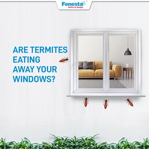 Is Your Window a New Home for the Termites? Switch to Fenesta & Forget all Termite Worries | Fenesta Windows