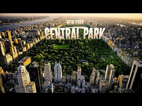 Central Park In Manhattan: The Best Attraction In New York