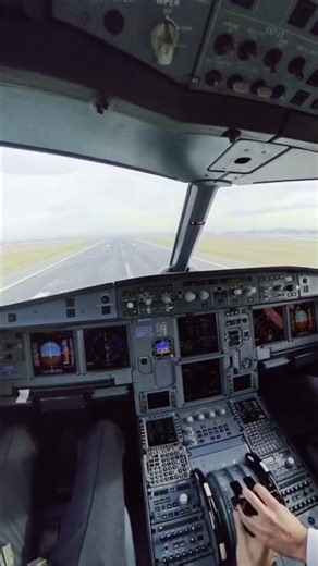 #aviation #airplane #aeroplane #aircraft #cockpitview #a320 #captaindonatas #airport #landing