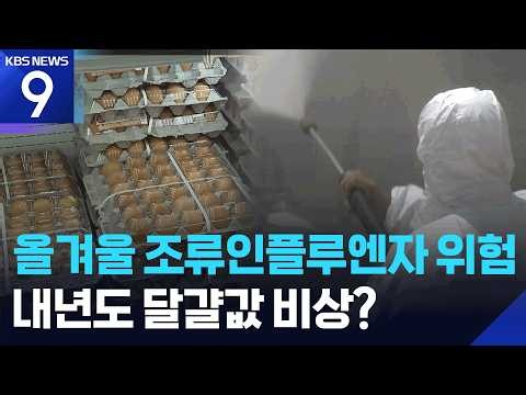 올겨울 조류독감 더 비상…달걀값 어쩌나 [9시 뉴스] / KBS 2026.09.16.
