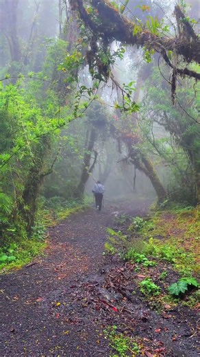 Volcán barva #nature #costaricapuravida #2026 #hiking #volcan