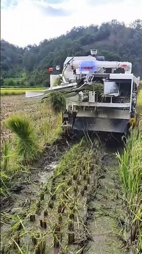 Techniques for cutting grass with a machine