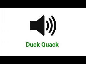 Duck Quack - Sound Effect (HD)