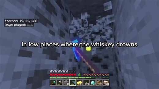 Friends in low places #minecraft #countrymusic #gaming #friendsinlowplaces #garthbrooks