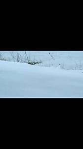 Filimin ismi the movie is called “the battle at lake changjin” ppl | Orhan Demir