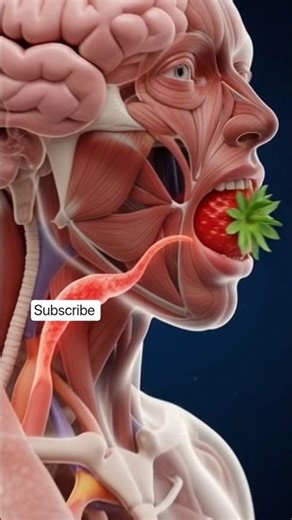 What Happens to Your Body When You Eat a Strawberry? 🍓#trend #viral #shortsfeed #healthypeople