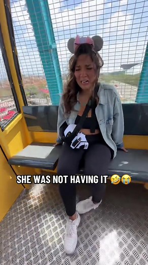 Disney Ferris Wheel Experience: Thrills and Laughs