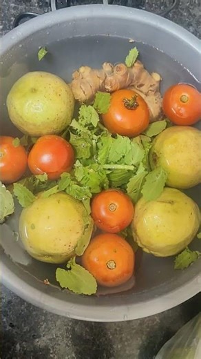 # Hasthip household ozone generator for fruit and vegetables cleaning