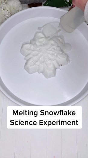 Melting Snowflake Science Experiment for Kids
