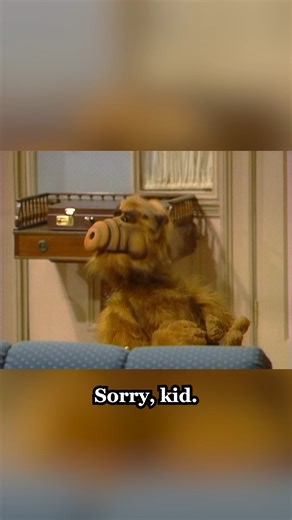 ALF tricks Brian! #ALF #comedyreels #humor #sitcom ##tvshow | Alf