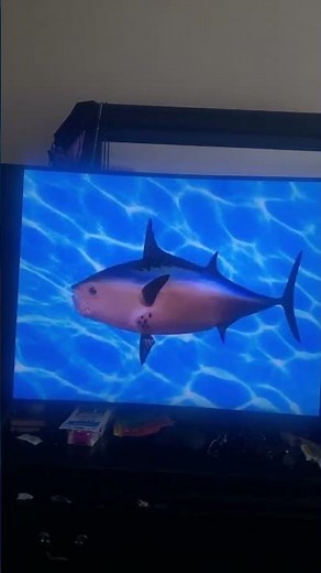 SpongeBob intro fandub 🇰🇬 season two-present