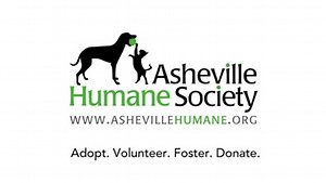 5.6K views · 197 reactions | Did you make resolutions for the new...