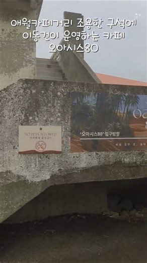 ➡️배우 이동건이 운영하는 제주 감성카페♡오아시스80 #제주여행 #맛집 #애월카페