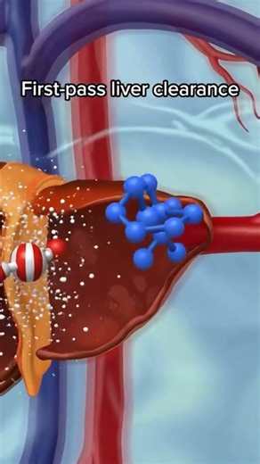 How Your Liver Flushes Out Turmeric